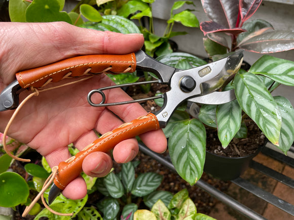 Japanese Handcrafted Secateurs High Carbon Steel Hand Laced Leather Handles - Parallel Curved Handles