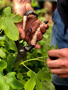 Japanese Handcrafted Secateurs High Carbon Steel Hand Laced Leather Handles - Smaller Overall Size, Designed For Smaller Hands