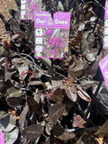 Hardenbergia violacea Out Of The Dark