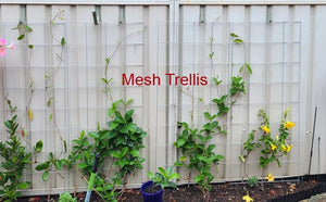 Colourbond Trellis Hanger (sold singular)
