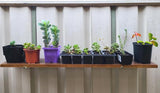 Colourbond Trough Hanger Planter Large (sold as a pair)