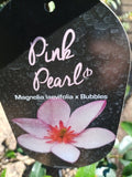 Magnolia Pink Pearl